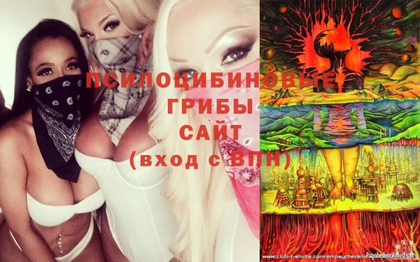 альфа пвп Богородицк