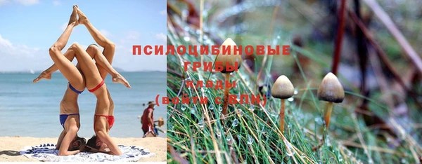 спайс Богородск