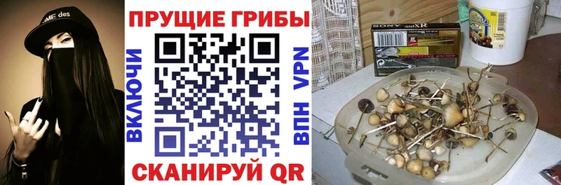 Галлюциногенные грибы MAGIC MUSHROOMS Острогожск