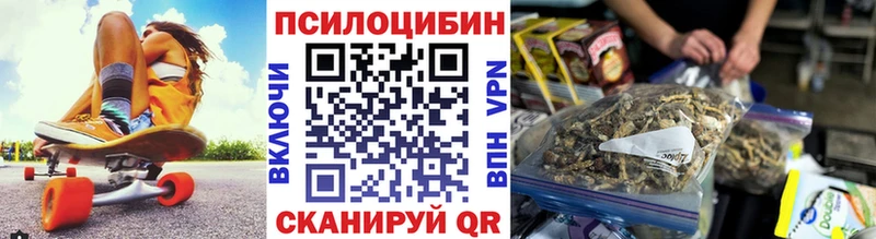 закладка Острогожск Псилоцибиновые грибы Psilocybine cubensis