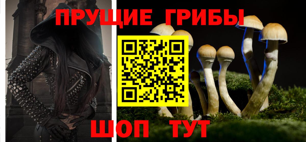 Псилоцибиновые грибы MAGIC MUSHROOMS Острогожск